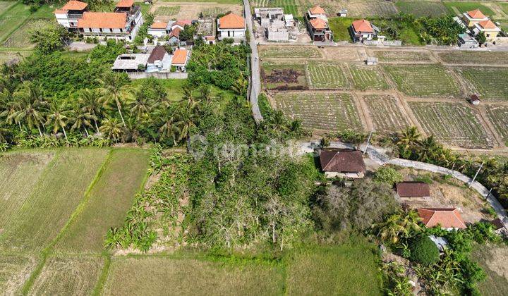 Land with Rice Field View in Singakerta Tebongkang Ubud Gianyar Bali 2