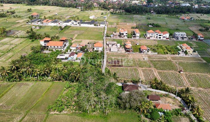 Land with Rice Field View in Singakerta Tebongkang Ubud Gianyar Bali 1