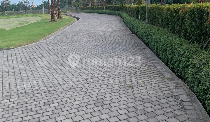 Tanah Kavling Komplek Villa 10 Menit Utara Pantai Kedungu  1