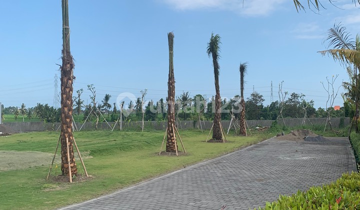 Tanah Kavling Komplek Villa 10 Menit Utara Pantai Kedungu  2