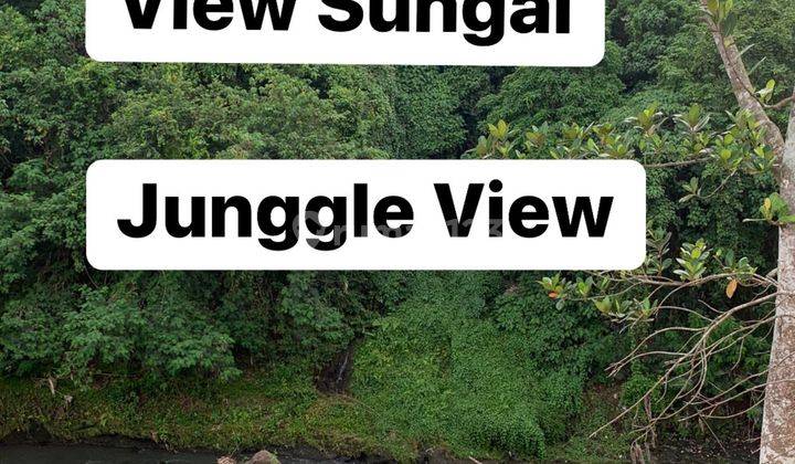 Tanah View Sungai Dan Junggle Dekat Pantai Kedungu 1