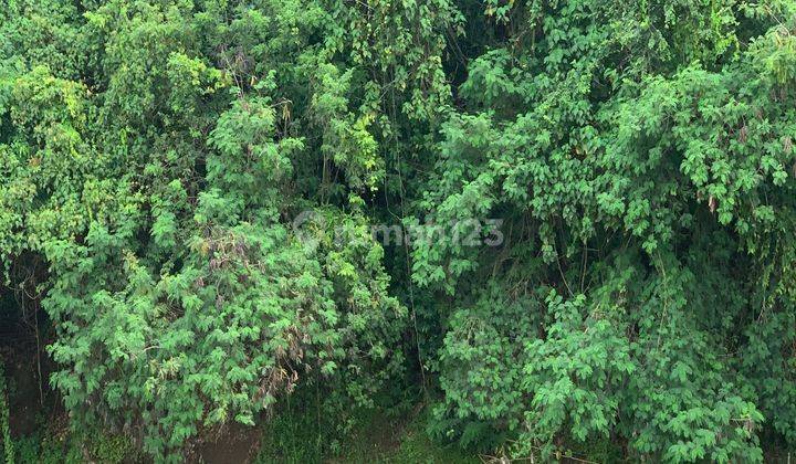 Tanah View Sungai Dan Junggle Dekat Pantai Kedungu 2