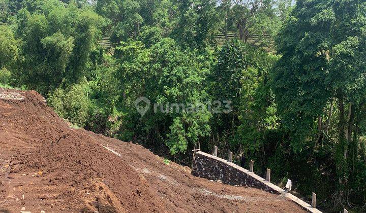 Tanah Kavling Di Utara Pantai Kedungu  2