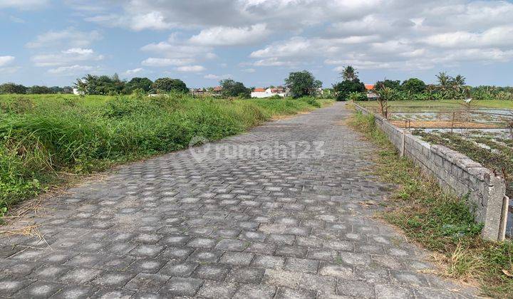 Tanah Kavling View Sawah Abadi Utara Pantai Kedungu 1