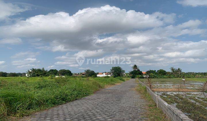 Tanah Kavling View Sawah Abadi Utara Pantai Kedungu 2