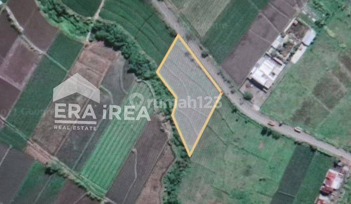 Tanah murah zona merah akses kontainer delanggu klaten 7