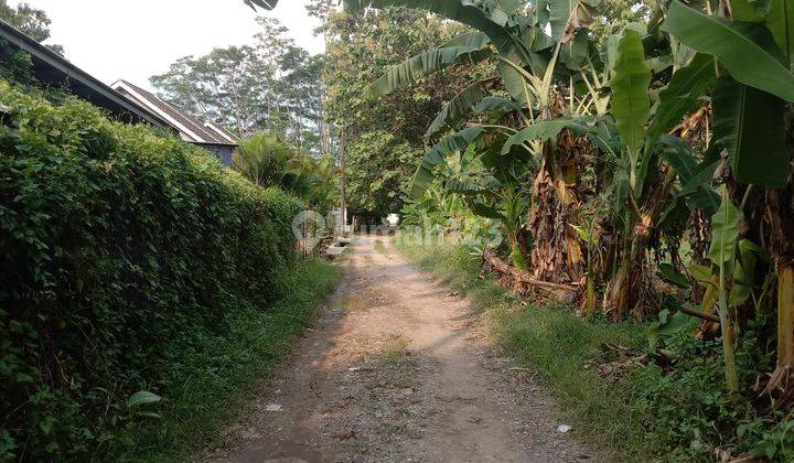 Tanah Cinangka Dekat Kampus Ut Pd. Cabe Legalitas SHM Pecah  1