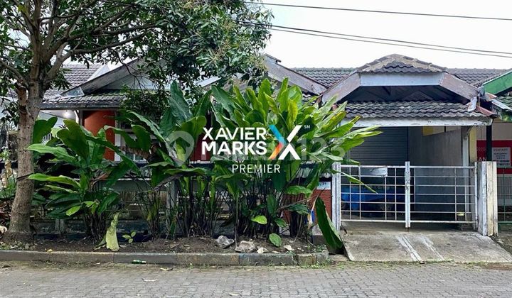 Rumah Murah Hitung Tanah di PBI Araya Malang Kota Rumah Murah Hitung Tanah di PBI Araya Malang Kota