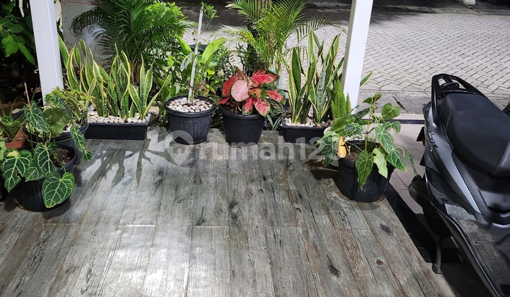 Jual Rumah Minimalis Unfurnished - Siap Huni & Lokasi Premium 2