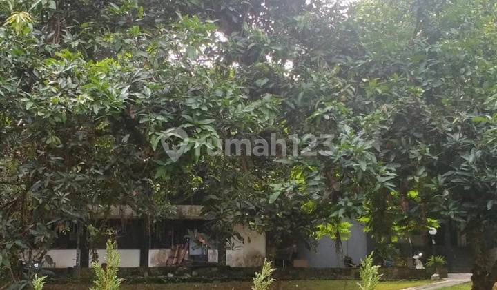 Properti Langka! LT 4.431 M² Lebak Bulus - Super Murah Dibawah NJOP