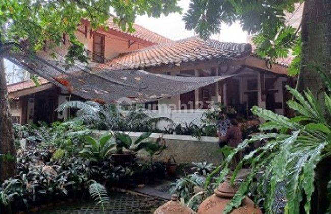 Dibawah Pasar, Rumah Mewah di Rindang Jagakarsa Jakarta Selatan 1