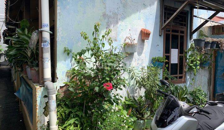 di Dijual Rumah Ada 2 Bangunan
 

lt. 115 M
lb. 105 M
ada 2 Rmh 
rmh 1
kt. 2
km.1
ruang Tamu
ruang Makan
dapur
listrik 1200
ruang Jemur
ruang Keluarga 

rmh2
kt 1
km Dan Wc Pisah 
listrik 900
ruang Keluarga 
dapur

air Pam Msh Jd 1

gg. Jeruk Ii Rt 013 Rw 1