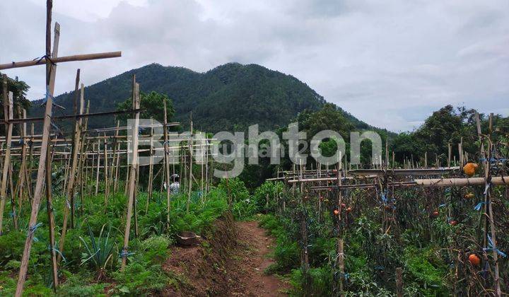 TANAH KOPENG SIAP BANGUN VIEW PEGUNUNGAN MERBABU 1