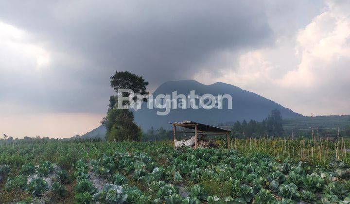 TANAH SIAP BANGUN ATAU USAHA BANARAN NGABLAK 1