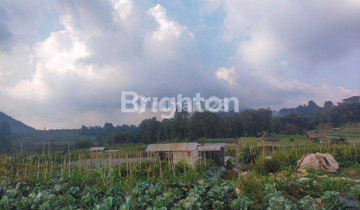 TANAH SIAP BANGUN ATAU USAHA BANARAN NGABLAK 2