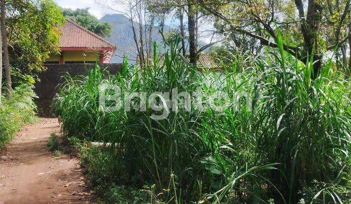 TANAH DIJUAL KOPENG PINGGIR JALAN PROPINSI  2