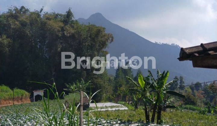 TANAH KOPENG SIAP BANGUN  1