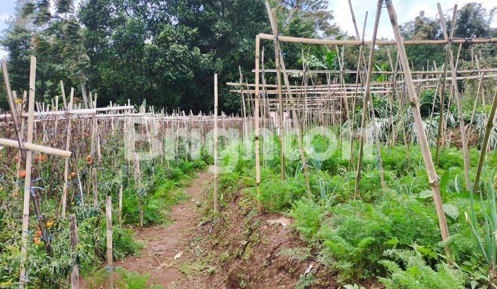 TANAH KOPENG SIAP BANGUN VIEW PEGUNUNGAN MERBABU 2