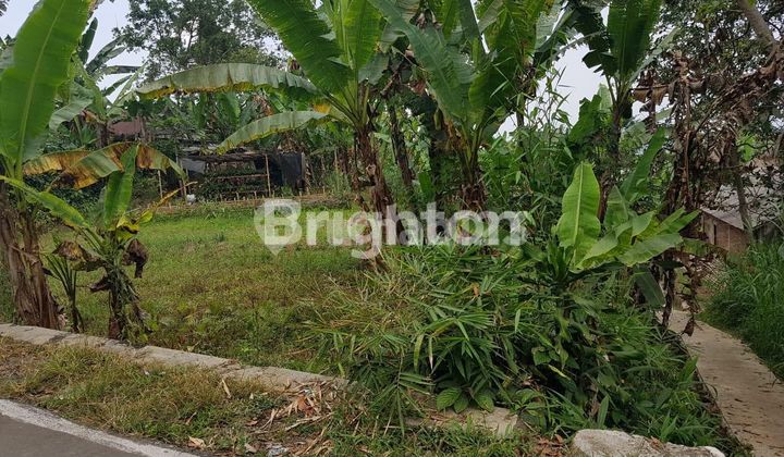Ready-to-Build Land in Baturraden, Banyumas
