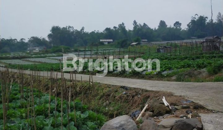 TANAH SIAP BANGUN DUSUN KRAGILAN KAPONAN MAGELANG 1