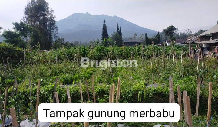 TANAH KOPENG VIEW PEGUNUNGAN DINGIN SEKALI  1