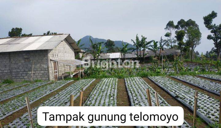 TANAH KOPENG VIEW PEGUNUNGAN DINGIN SEKALI  2