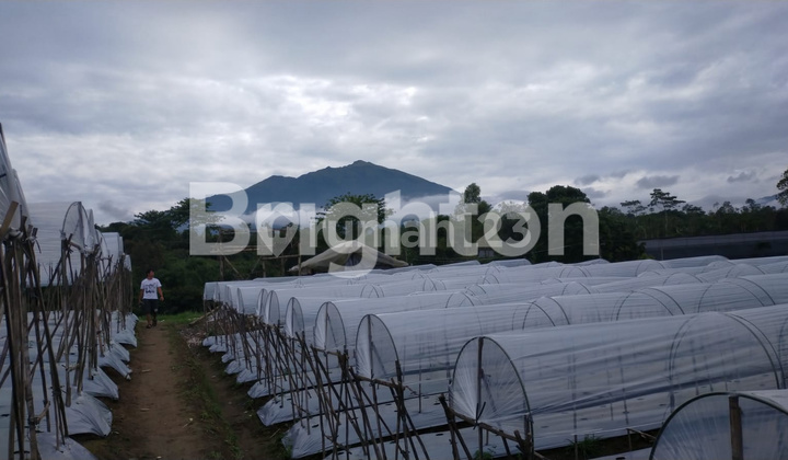 FOR SALE LAND IN KOPENG AREA, SUITABLE FOR VILLA, STRATEGIC LOCATION, PROVINCIAL ROAD FRONTAGE FOR SALE LAND IN KOPENG AREA, SUITABLE FOR VILLA, STRATEGIC LOCATION, PROVINCIAL ROAD FRONTAGE