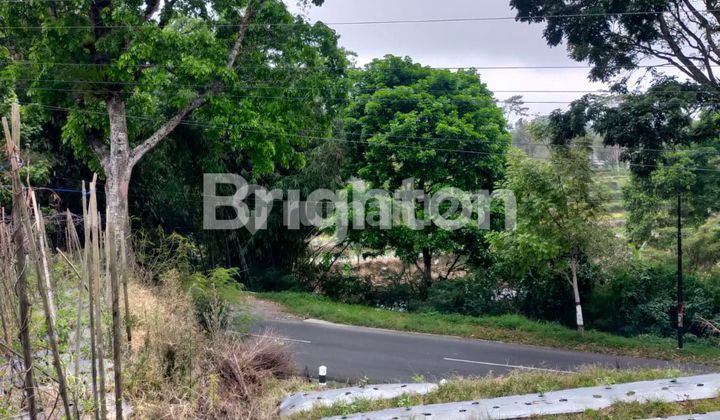 TANAH LUAS DAN ASRI DUSUN KAPONAN MAGELANG 1