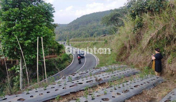 TANAH SIAP BANGUN VILLA PRIBADI KOPENG 1