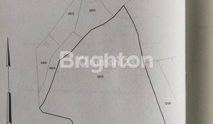 TANAH DISEWAKAN UNTUK PERTANIAN KOPENG 1