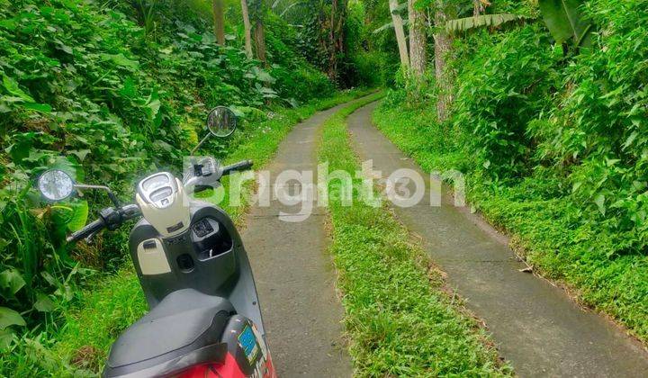 TANAH KOPENG MURAH  2
