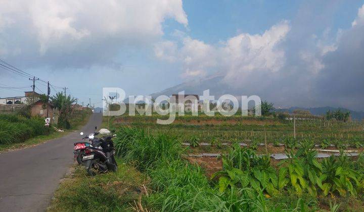 TANAH SIAP BANGUN ATAU USAHA DUSUN BANARAN NGABLAK MAGELANG 1