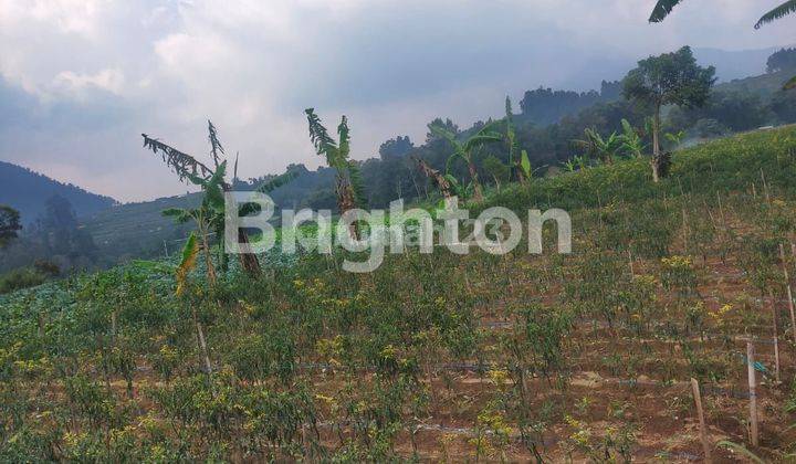 TANAH SIAP BANGUN ATAU USAHA BANARAN NGABLAK MAGELANG 2