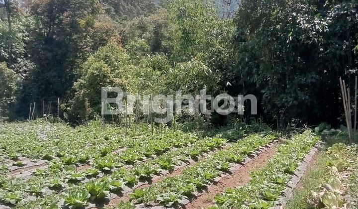 LAND READY FOR BUILDING, BAGONGAN GETASAN 2