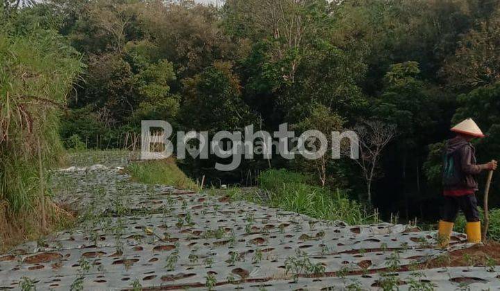 TANAH SIAP BANGUN VILLA PRIBADI KOPENG 2