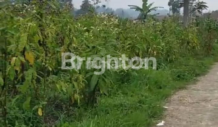 TANAH SIAP BANGUN DUSUN KRAGILAN KAPONAN MAGELANG 2