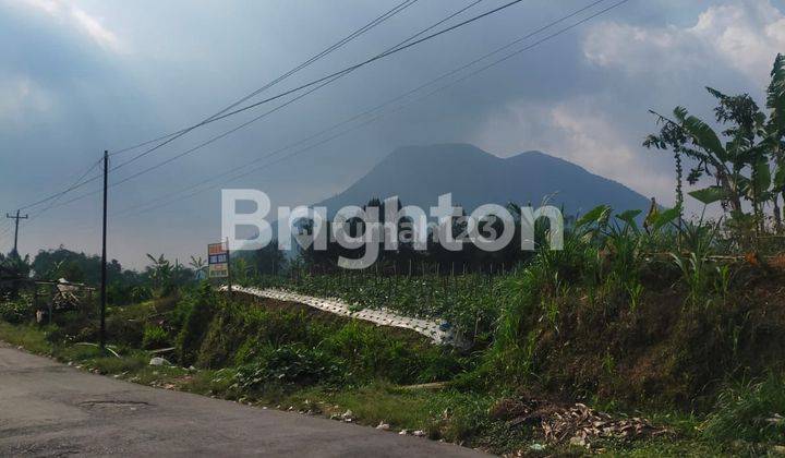 TANAH SIAP BANGUN ATAU USAHA DUSUN BANARAN NGABLAK MAGELANG 2
