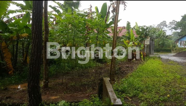 STRATEGIC LAND NEAR UKSW SALATIGA CITY STRATEGIC LAND NEAR UKSW SALATIGA CITY