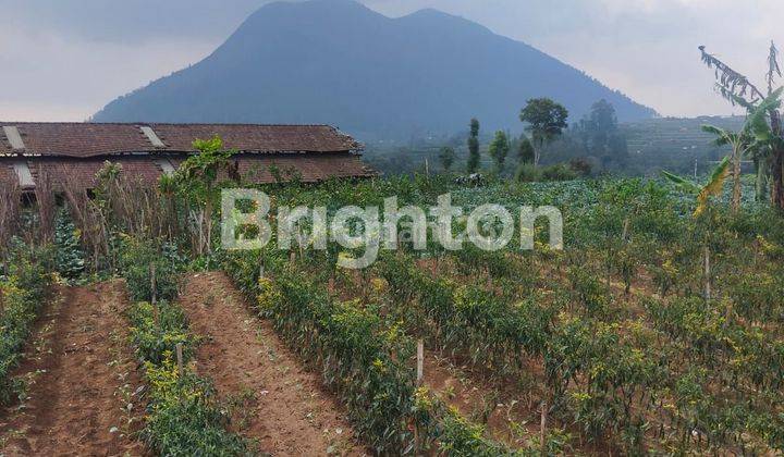 TANAH SIAP BANGUN ATAU USAHA BANARAN NGABLAK MAGELANG 1