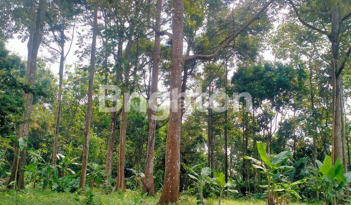 TANAH SIAP BANGUN DEKET TEMPAT WISATA GUNUNG PATI 1