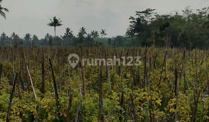 Tanah Siap Bangun Ketep Pas Kopeng Tanah Siap Bangun Ketep Pas Kopeng