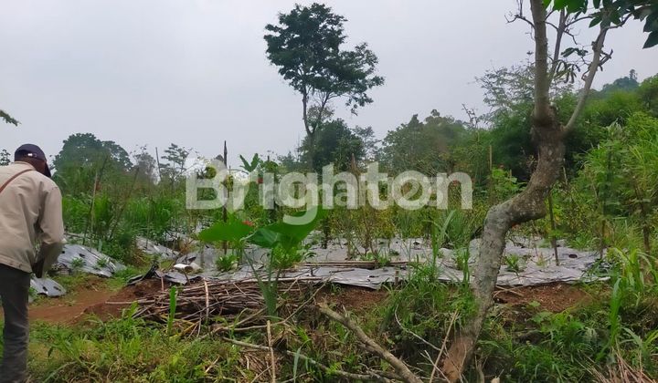 TANAH SIAP BANGUN DUSUN BOJONG PAKIS MAGELANG 2
