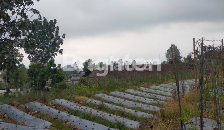TANAH LUAS DAN ASRI DUSUN KAPONAN MAGELANG 2