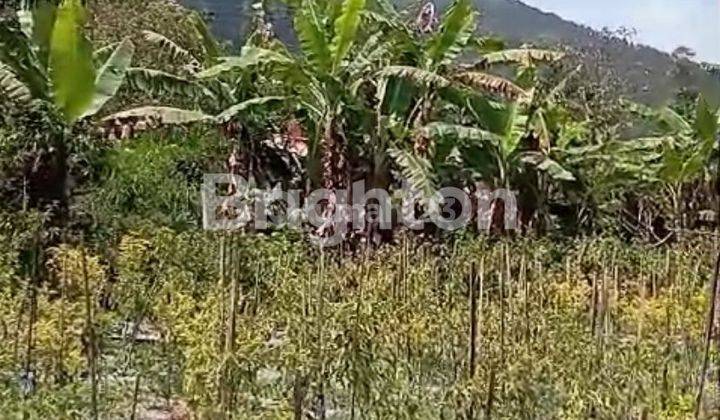 TANAH SIAP USAHA ATAU BANGUN KEDITAN MAGELANG 1