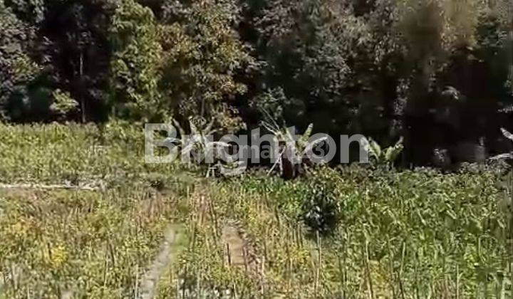 TANAH SIAP USAHA ATAU BANGUN KEDITAN MAGELANG 2