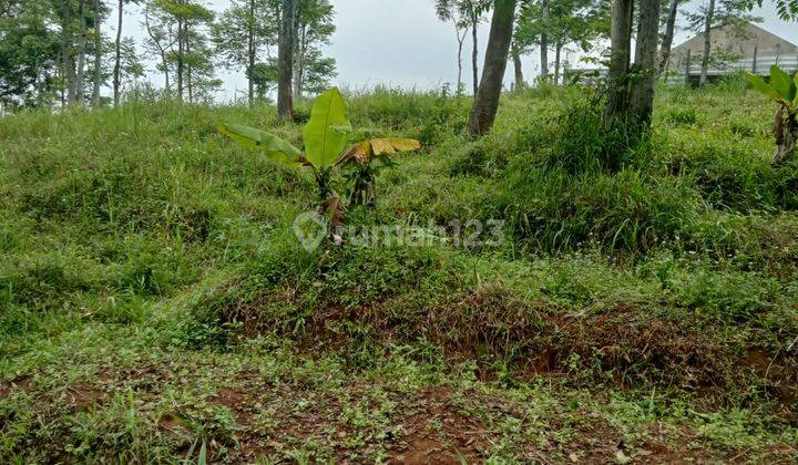Jual Cepat Lahan Kebun Siap Olah Di Area Ujung Berung Atas Dengan View Mesjid Al Jabbar  2