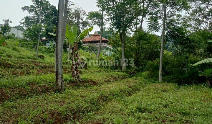 Jual Cepat Lahan Kebun Siap Olah Di Area Ujung Berung Atas Dengan View Mesjid Al Jabbar  1