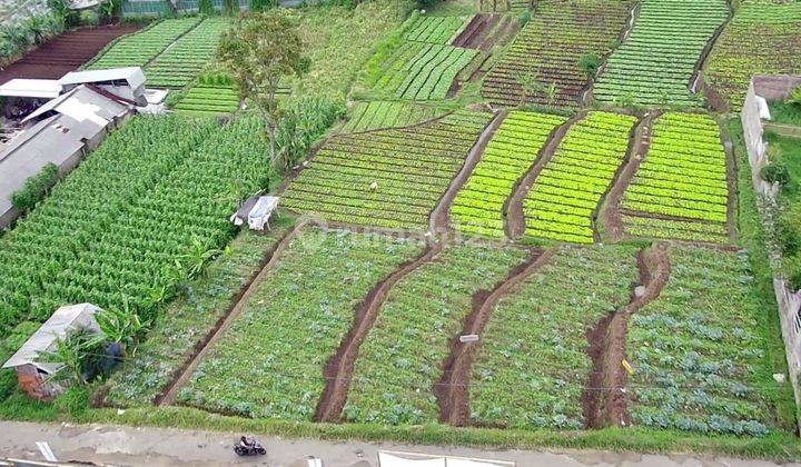 Dijual Cepat Lahan Kebun Sayuran Di Area Wisata Jl. Curug Panganten Ciuyah Cimahi 2083 1