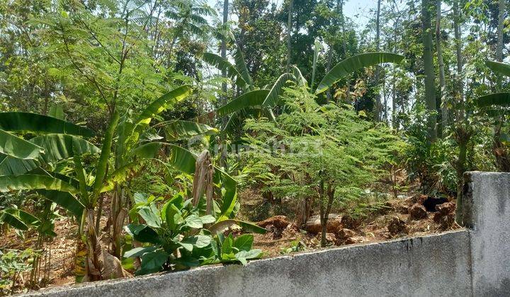 TANAH STRATEGIS,BAGUS,SIAP BANGUN,SHM,LOKASI TEMBALANG SEMARANG  2