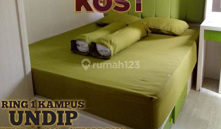 Murah, Istimewa,rumah Kost Modern, Shm,selangkah Kampus Undip Semarang  1